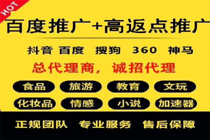 竞价排名案例：跨平台推广效果分析